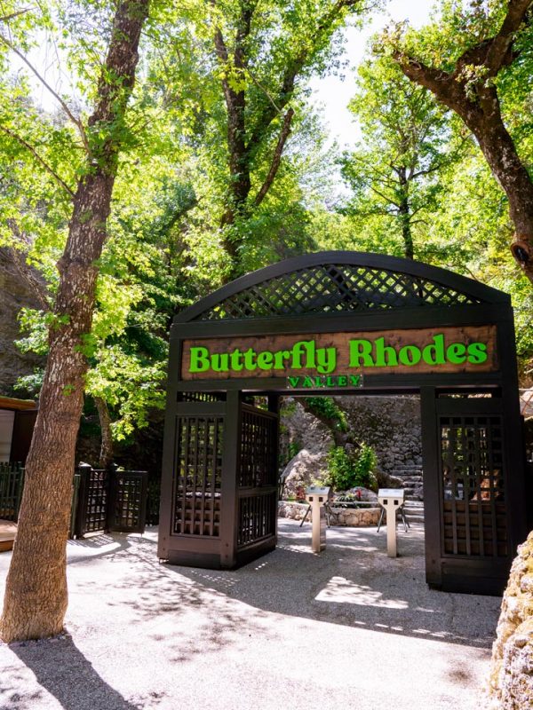 Gallery-butterflies-Rhodes-38