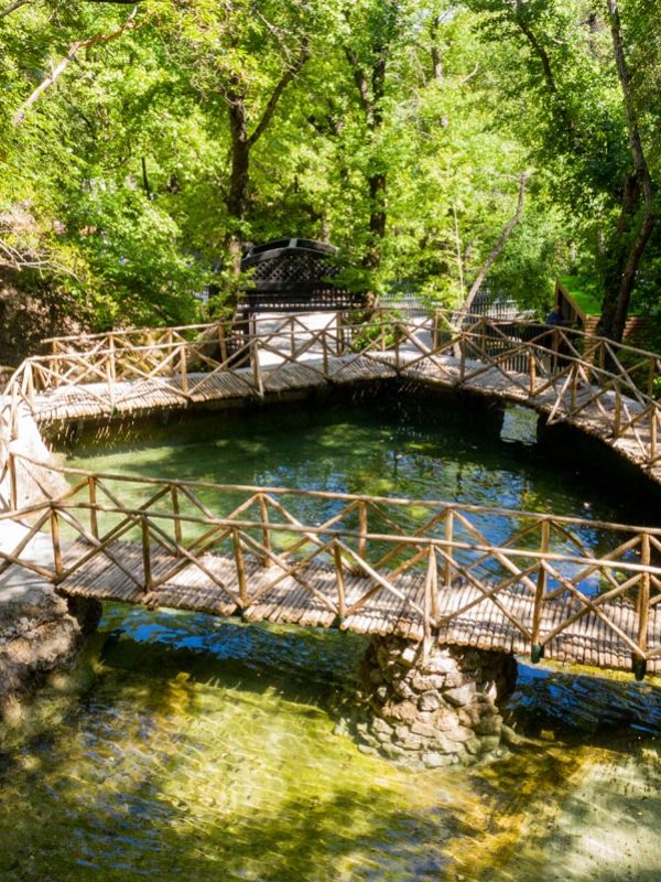 Gallery-butterflies-Rhodes-68