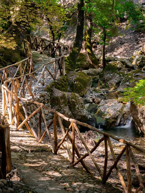 Gallery-butterflies-Rhodes-81