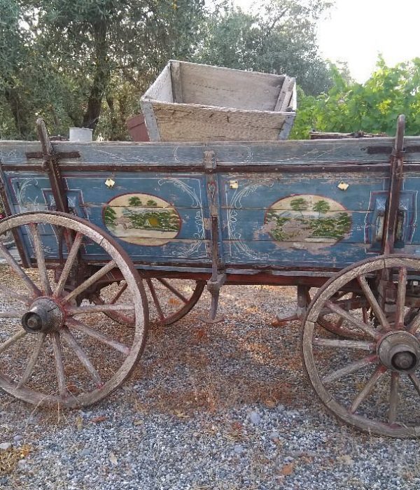 Olive Factory in Archangelos 13