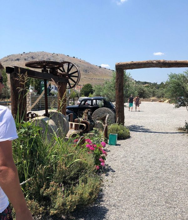 Olive Factory in Archangelos 18