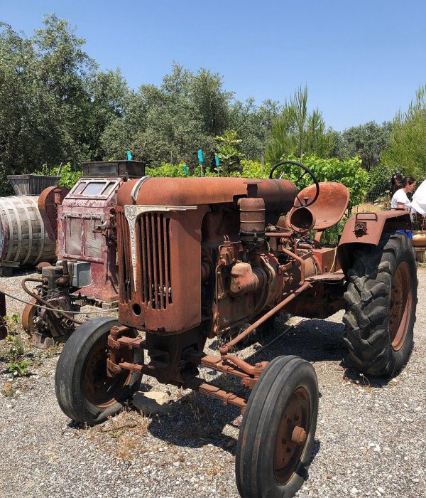 Olive Factory in Archangelos 19