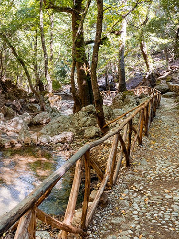 butterflies-rhodes-vallery-gallery-10