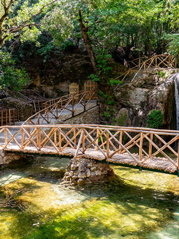 butterflies-rhodes-vallery-gallery-13