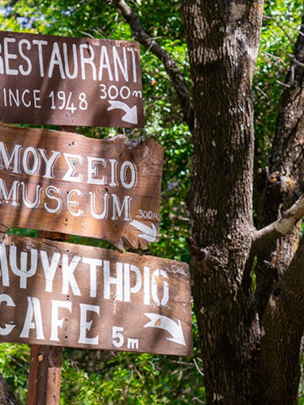 butterflies-rhodes-vallery-gallery-3 (1)