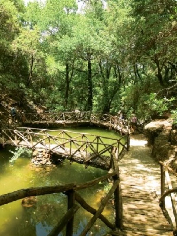 butterflies-rhodes-vallery-gallery-8